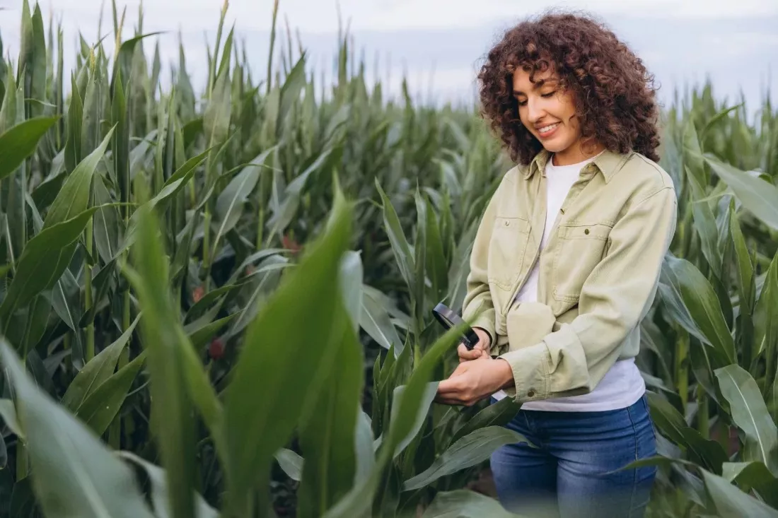 Agronoma osserva con una lente le foglie di mais in un campo